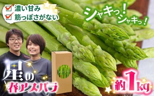 【2026年3月～発送】【数量限定】甘い！柔らかい！【星のアスパラ】厳選 グリーン アスパラガス 1kg / アスパラ あすぱら 厳選 あすぱらがす 採れたて 新鮮 旬 産地直送 野菜 3L・2L・L・Mサイズ  ミックス / 南島原市 / ほしのYA [SEY001]
