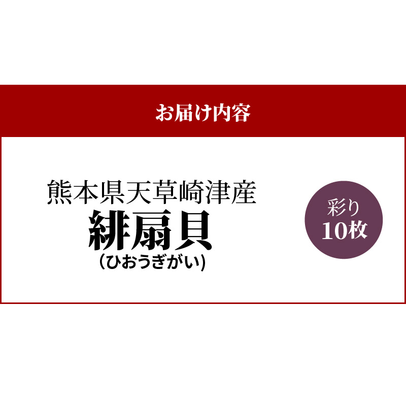 S021-004_熊本県天草崎津産 緋扇貝(ひおうぎがい) 彩り 10枚