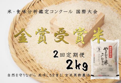 【令和6年産新米予約】【2か月定期便】コシヒカリ「やまびこ米」2kg×2回 玄米黒酢農法 金賞受賞 特別栽培米 白米 精米 農家直送 1P06010