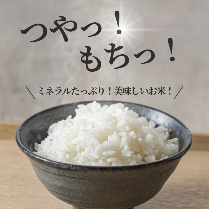 【令和7年新米】コシヒカリ 精米（白米）10kg こしひかり ごはん お米 米 おにぎり 181001