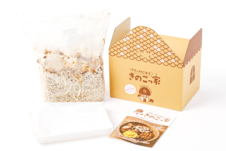 おうちで楽しむ　きくらげ栽培キット　きのこっ家【きのこ きくらげ 木耳 栽培 キット 菌床 1個】