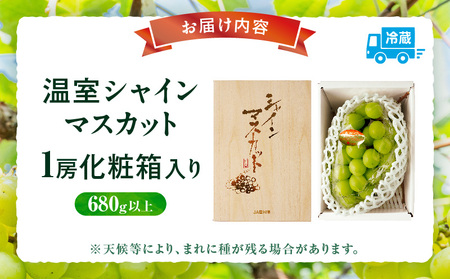 【先行受付】温室シャインマスカット 1房化粧箱入り(680g以上) | マスカット ハウス ぶどう ブドウ 葡萄 果物 フルーツ 人気 香川 香川県 三木町 種なし 皮ごと食べられる ジューシー 化粧