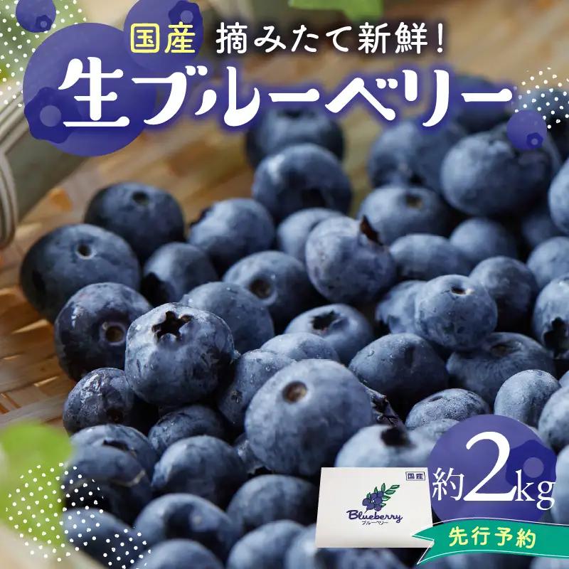 【2027年発送】 先行予約 木津川市産ブルーベリー約2kg 生ブルーベリー 新鮮 国産 果物 小分け 080-03