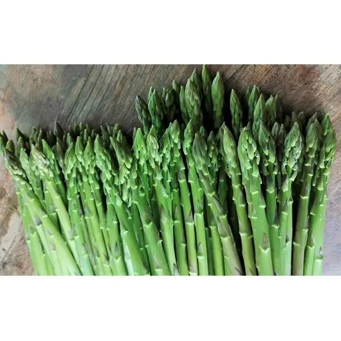 少し訳ありSWANの特選アスパラ1kg【さぬきのめざめ】 野菜 野菜セット アスパラガス 訳ありアスパラ 