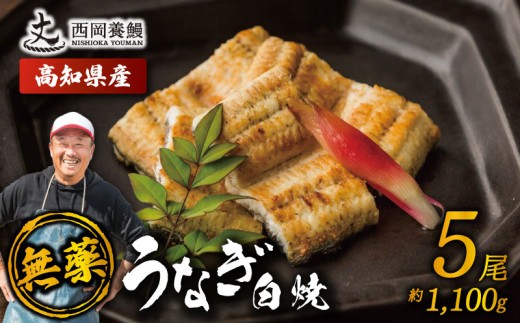 完全無投薬 鰻白焼 国産 うなぎ白焼 1.1kg ( 220g × 5尾 ) 鰻 厳選 無薬 うなぎ 白焼き 白やき 国産うなぎ 国産鰻 人気 鰻白焼き 特製タレ 山椒 セット 湯煎 簡単調理 旨味 風味 香ばしい うな重 土用の丑の日 夏バテ対策 スタミナ食 ギフト 贈り物 贈答 お取り寄せ グルメ 高級 うなぎ料理 こだわり 冷凍 高知県産 ランキング おすすめ 西岡養鰻 安芸市 高知県