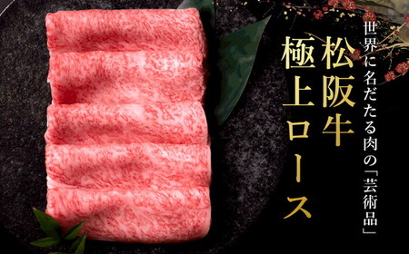 極上松阪牛定期便 贅沢コース【定期便9か月】( ヒレ シャトーブリアン サーロイン 赤身 すき焼き しゃぶしゃぶ ステーキ ハンバーグ ） 【30-24】30-24