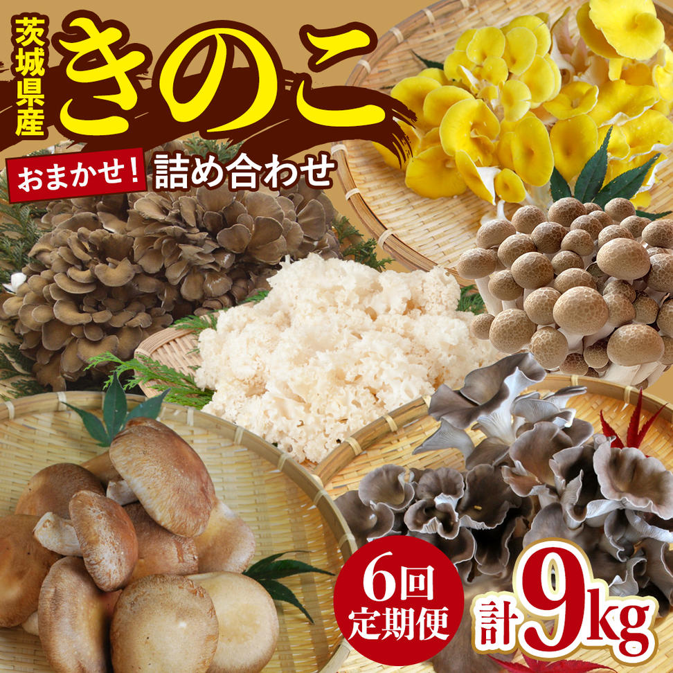 【 6ヶ月 隔月定期便 】 きのこ の 詰め合わせ Mサイズ 約1.5kg 大容量 キノコ 舞茸 あわび茸 たもぎ茸 しいたけ ぶなしめじ 花びら茸 セット 鍋 炒め物 茨城県 城里町産 定期便(AU011)