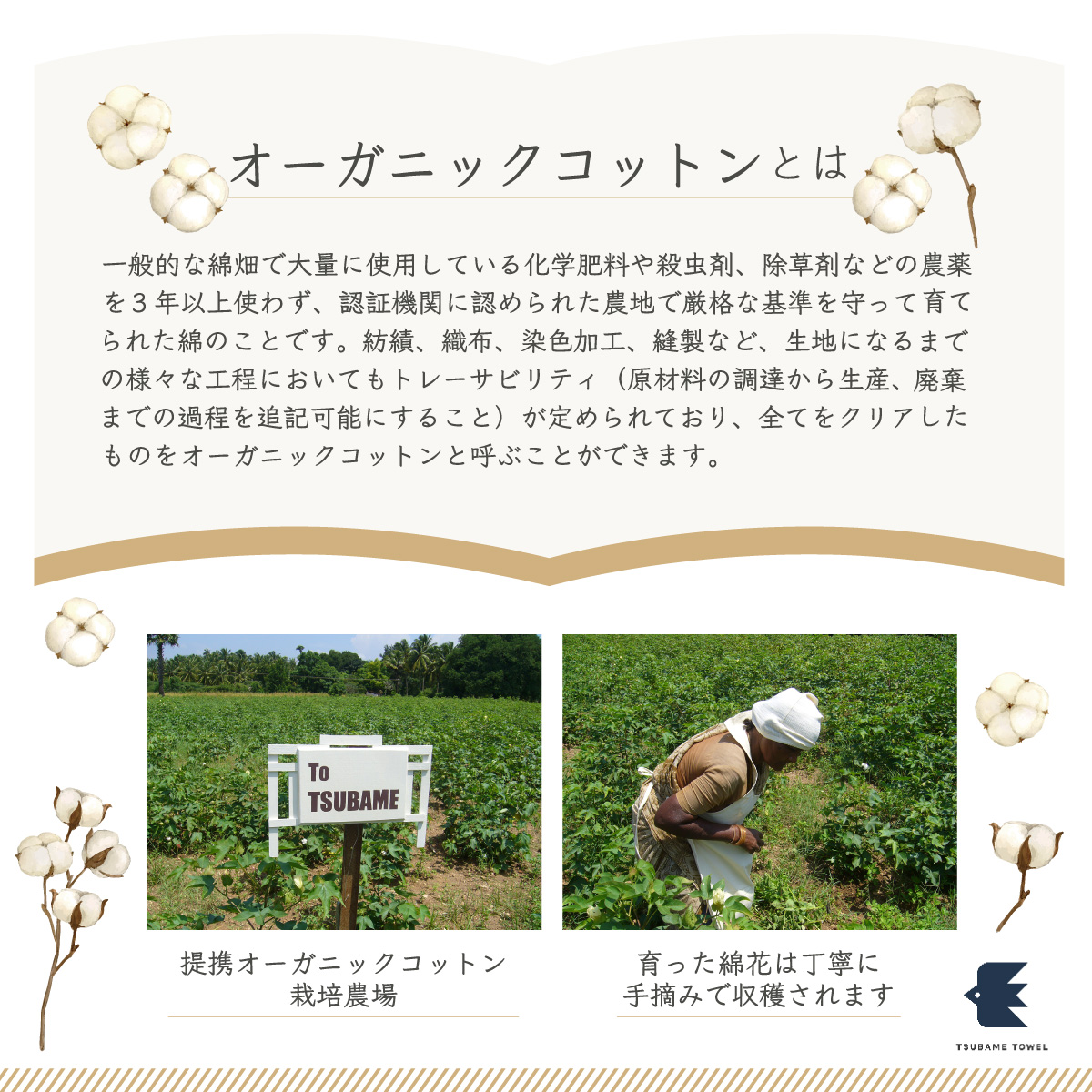 ナナイロ バスタオル 4枚セット（アオイロ）【オーガニック 国産 日本製 泉州タオル 老舗タオルメーカー 明治45年創業 無地 パステル 吸水力 赤ちゃん 敏感肌】 015B466