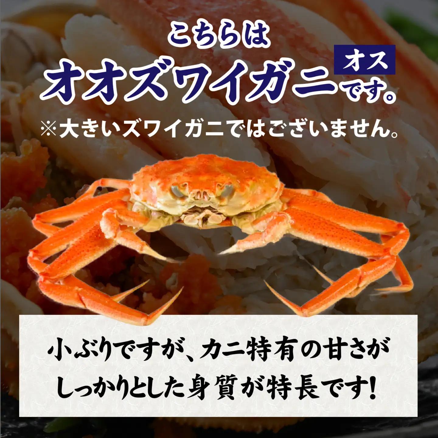 【訳あり】釜茹で　蟹好き集まれ！オオズワイガニオス 甲羅盛 【甲羅盛95g前後 】[A-096018] / 蟹