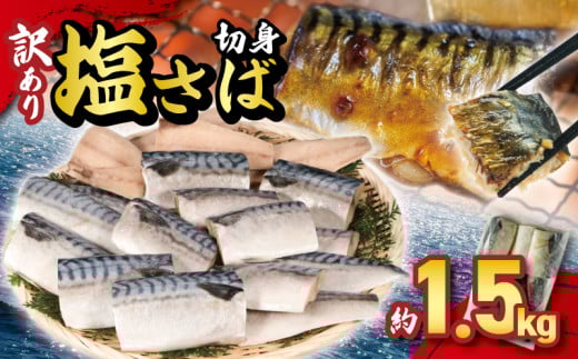 訳あり 塩サバ切身 約1.5kg  ノルウェー産 冷凍 ｻﾊﾞ 鯖 塩サバ 塩鯖 鯖切身 鯖切り身 サバ切身 サバ切り身 切り身 切身 海鮮 魚 大容量 青魚 おかず 惣菜 魚介 おつまみ 弁当 人気 冷凍食品 グルメ 贈答 贈物 ギフト 長期保存 小分け お取り寄せ BBQ 送料無料 ふるさと納税 ふるさと納税サバ 千葉県 銚子市 大一奈村魚問屋