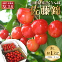 【ふるさと納税】【先行予約】令和7年産 さくらんぼ 佐藤錦 秀L1kg以上 (500g バラ詰め × 2パック)【晴天畑】サクランボ フルーツ 果物 くだもの グルメ 送料無料 山形県 河北町