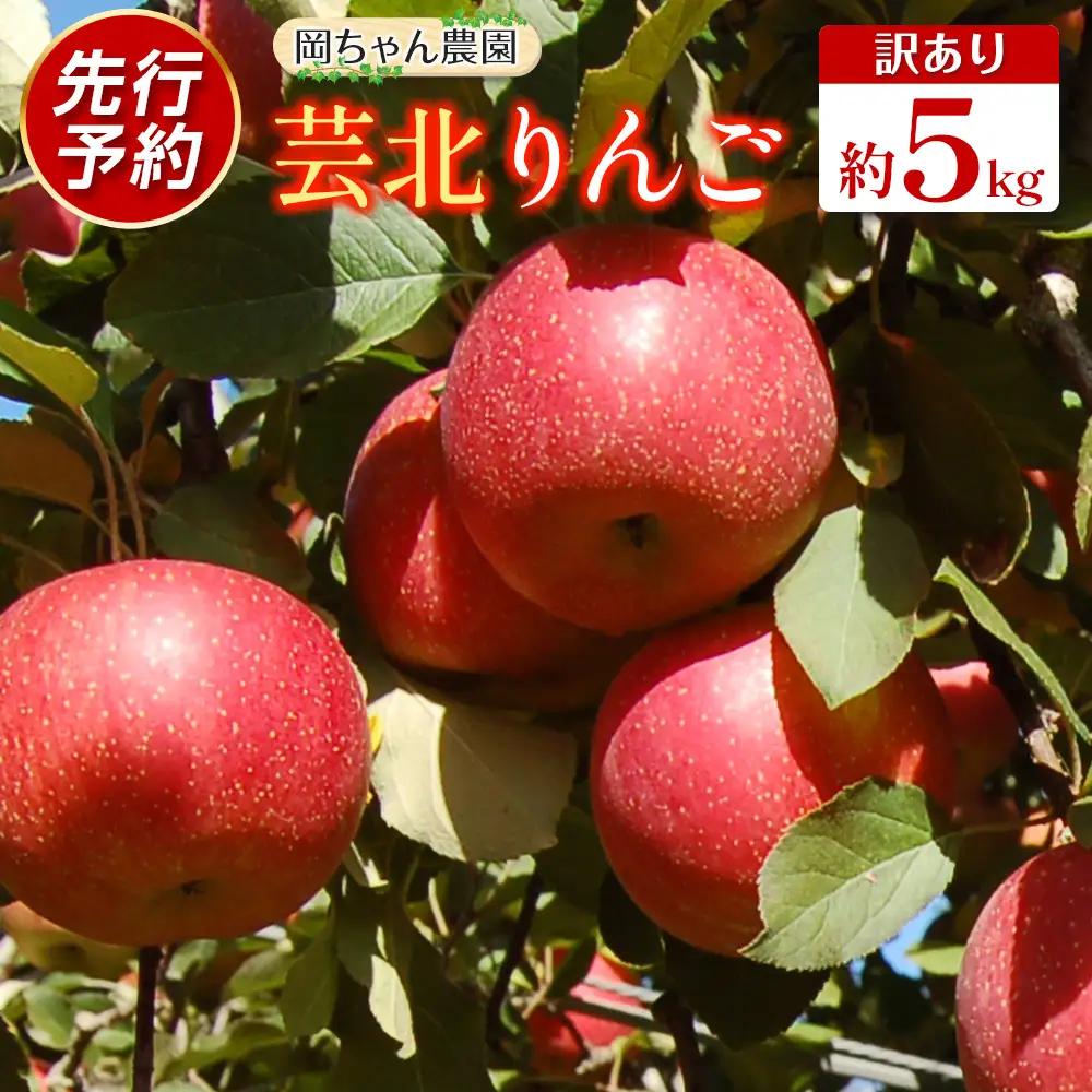 ≪10月中旬以降発送≫りんご 訳あり ご家庭用 約5kg 岡ちゃん農園の芸北りんご 農家直送 夢つがる 秋映 とき すわっこ シナノスイート 陽光 ぐんま名月 シナノゴールド ふじ_OK066_003