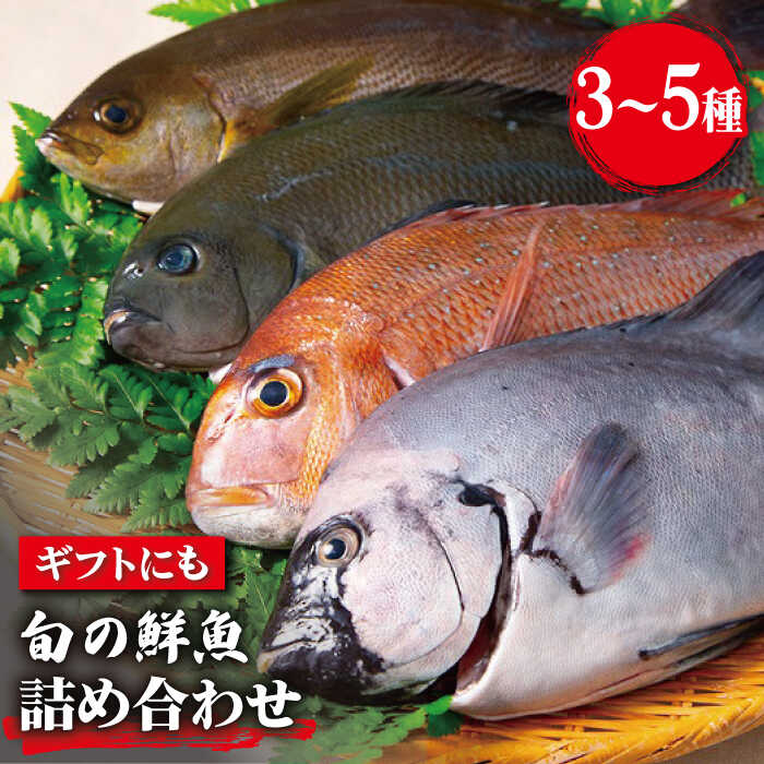 【ふるさと納税】旬の鮮魚 詰め合わせ セット 3～5種類【松園水産】 [RBO011]