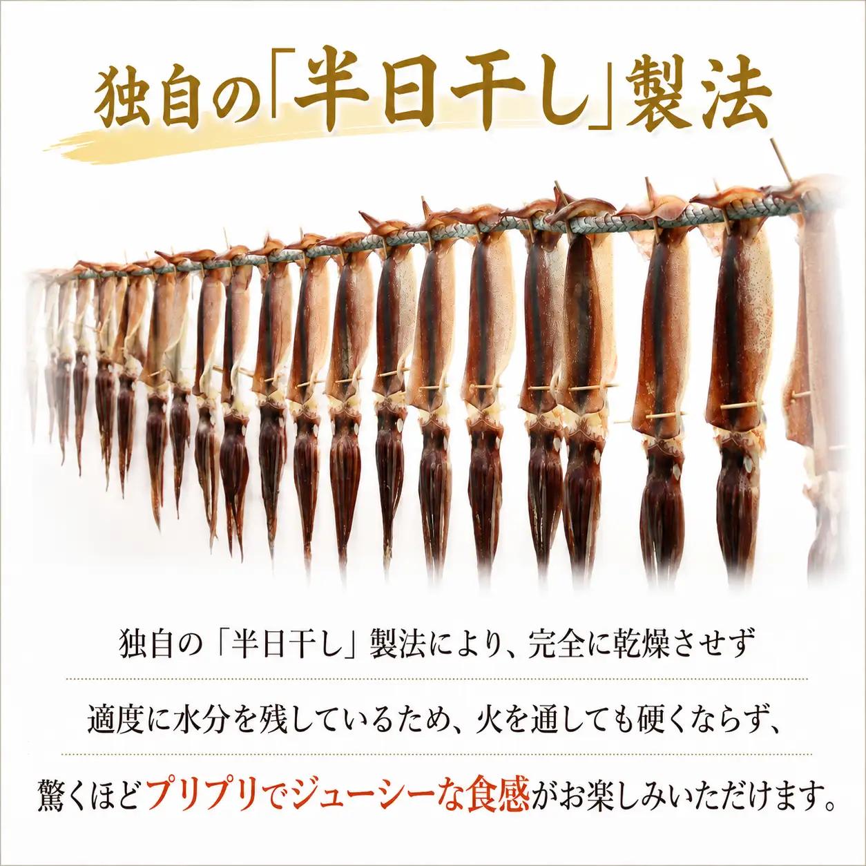 スルメイカ 干物 5個 （約500～700g） 干物 するめいか 干しイカ いか イカ 半日干し 生干し 5個 5枚 魚介類 海鮮 水産加工品 冷凍 真空パック 小分け 室戸海洋深層水 塩干し イカ焼