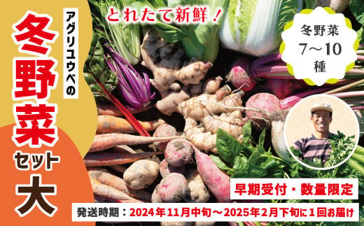 
24-761．【早期受付・数量限定】＼とれたて新鮮／農家直送！アグリユウベの冬野菜セット（大）【2024年11月中旬～2025年2月下旬に１回発送】
