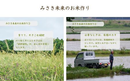 有機米 にじのきらめき 玄米 5kg 令和8年産|先行予約 みさき未来