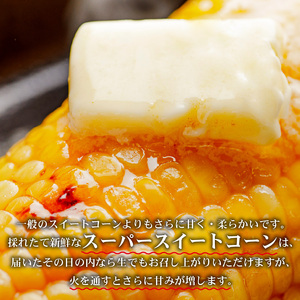 朝採れ とうもろこし 13-15本 【トウモロコシ】