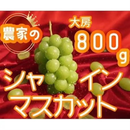 シャインマスカット 1房 800g 小さな農家のこだわりシャイン【配送不可地域：離島】【1699610】