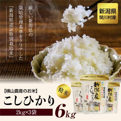 ふるさと納税 関川村 【毎月定期便】関川村産こしひかり6kg(2kg×3袋)ふっくら美味しさ 岩船米 [横山農産]全12回