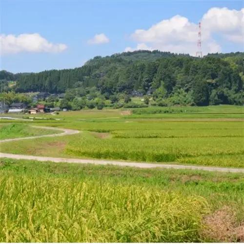 【新米先行受付(2026年10月上旬から順次発送)】令和8年富山県産「富富富」(精米)10kg×1袋【1656121】