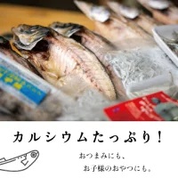 【 干物 】 干物ひもの 詰め合わせ セット