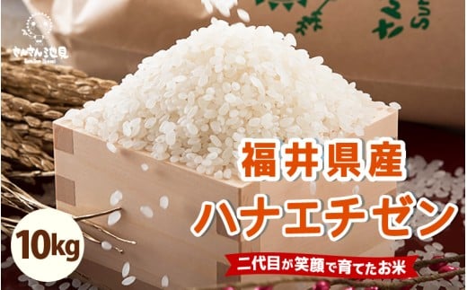 【令和7年産・新米】さんさん池見二代目の 福井県産 ハナエチゼン 10kg 華越前（5分づき） [B-0221_03]