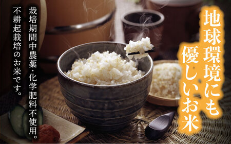 【令和7年産】玄米「廿ノ極」（4.5kg）多治見市/廿原ええのお お米 米 国産 多治見市産 プレゼント 贈答 贈り物 送料無料  [TCI001]