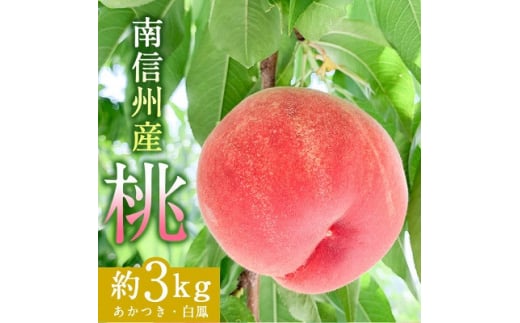 南信州産 「 桃 」約 3kg 〈 あかつき ・ 白鳳 〉＜2024年7月より順次発送＞ _ 果物 フルーツ もも ピーチ 品種おまかせ 人気 送料無料【1005368】