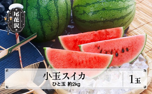 尾花沢産 小玉スイカ 約2kg×1玉 7月中旬~8月上旬頃発送 令和8年産 mm-sukxx1