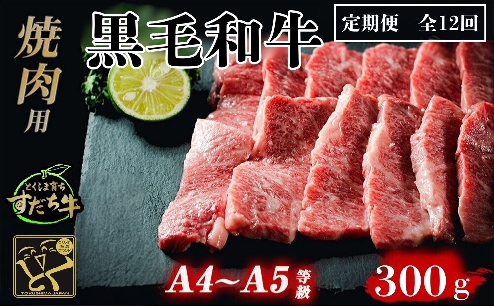 
                  定期便 12回お届け すだち牛黒毛和牛（焼肉用）300g 合計3.6kg　国産 牛肉 焼き肉 焼肉 赤身 冷凍 お肉 肉 ブランド 和牛 霜降り カット 人気 定期便
                