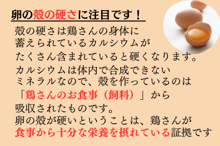 【卵定期便3か月連続お届け】平飼い八雲鶏卵 彩り天佑卵 10個×3パック 定期便卵30個/月 卵合計90個 卵3回定期便 おいしい卵の定期便 卵焼き 卵かけご飯 卵料理に！