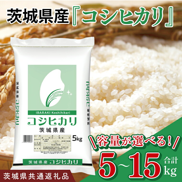 【ふるさと納税】【選べる kg】令和7年産 茨城県産 コシヒカリ 5kg 10kg 15kg【お米 白米 こしひかり コシヒカリ ごはん 茨城県】（03-48-1）