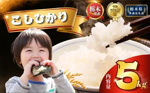 栃木県産 コシヒカリ 5kg【栃木県共通返礼品】AB | 栃木県 下野市
