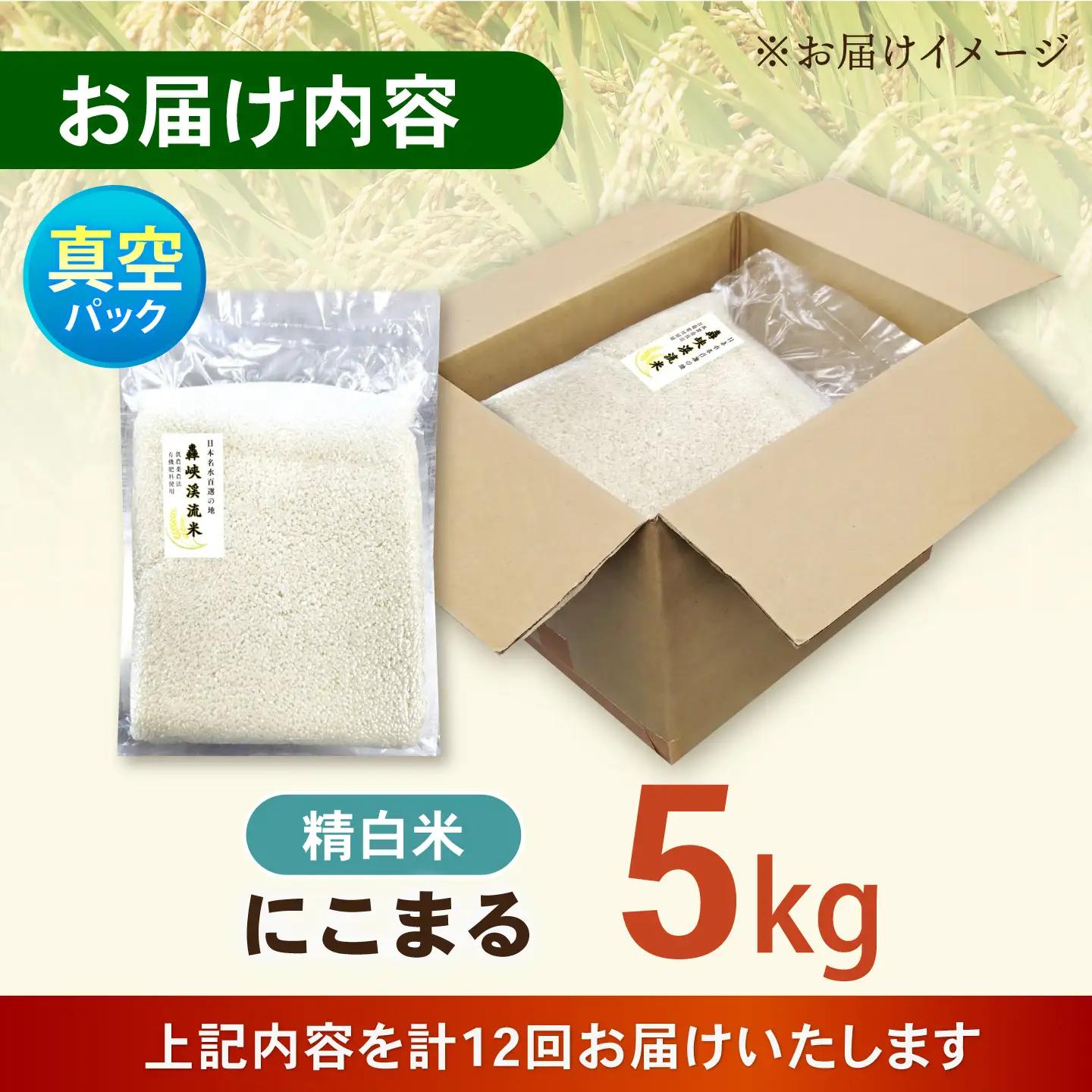 【12回定期便】真空【轟峡渓流米】精白米(にこまる) 5kg / 米 お米 白米 精白米 5kg 真空 真空パック 長期保存 / 諫早市 / 轟名水ファーム高来[AHFF032]