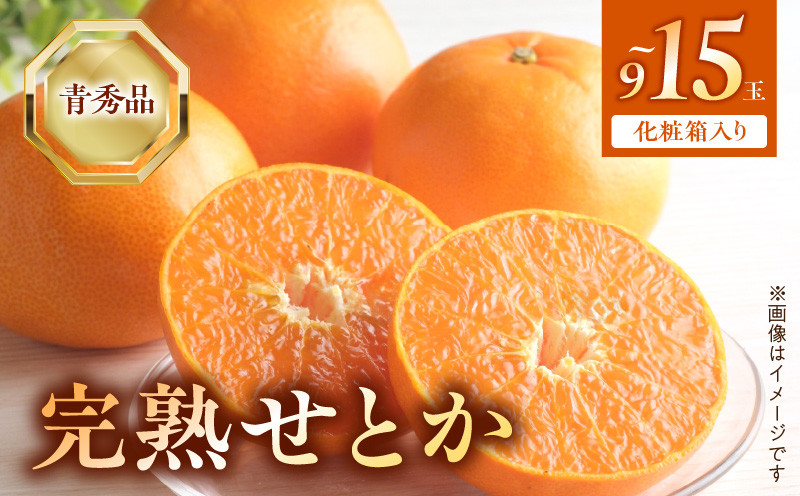 
                  【2027年先行予約】完熟 せとか 青秀品 9～15玉 化粧箱 【ミカン 蜜柑 春みかん 柑橘】_BF6049n
                