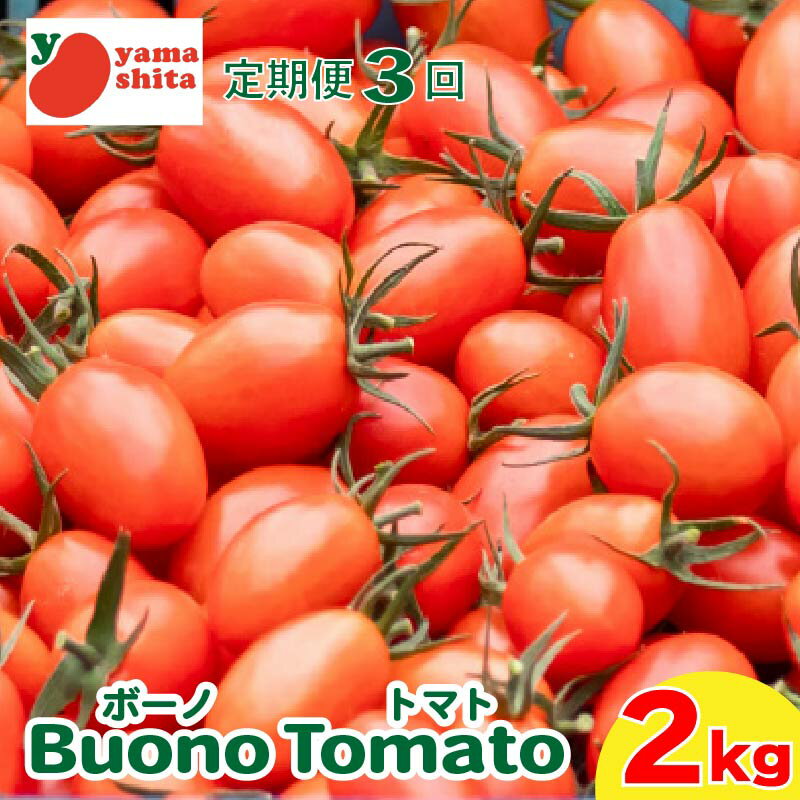 【ふるさと納税】 ミニトマト 定期便 2kg 3回 トマト アイコ フルーツトマト ボーノトマト 野菜 サラダ 産地直送 生産者直送 農家直送 先行予約 徳島県 阿波市
