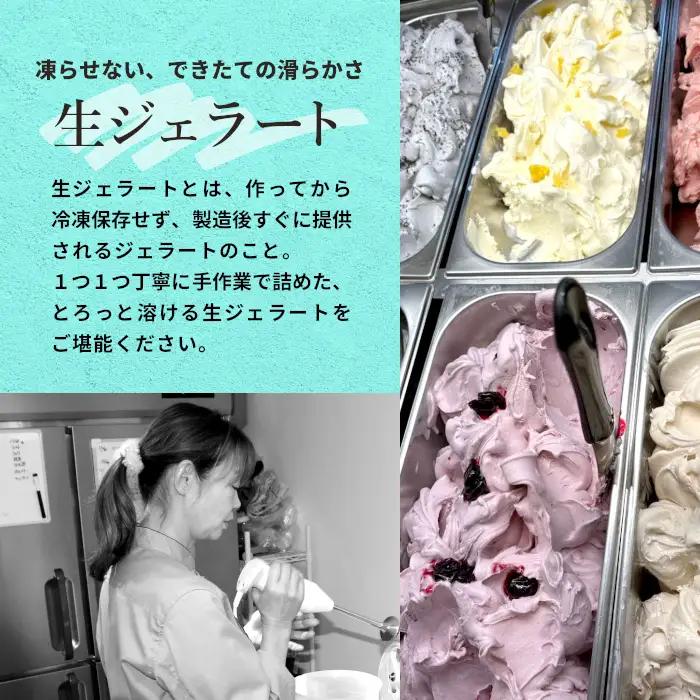 生ジェラート アソート 12個 Hセット トマトソルベ ミルク ほうじ茶 抹茶 アールグレイキャラメル ストロベリー オーロヴェルデ カップアイス アイス スーツ ジェラート イタリア 設楽町 -32