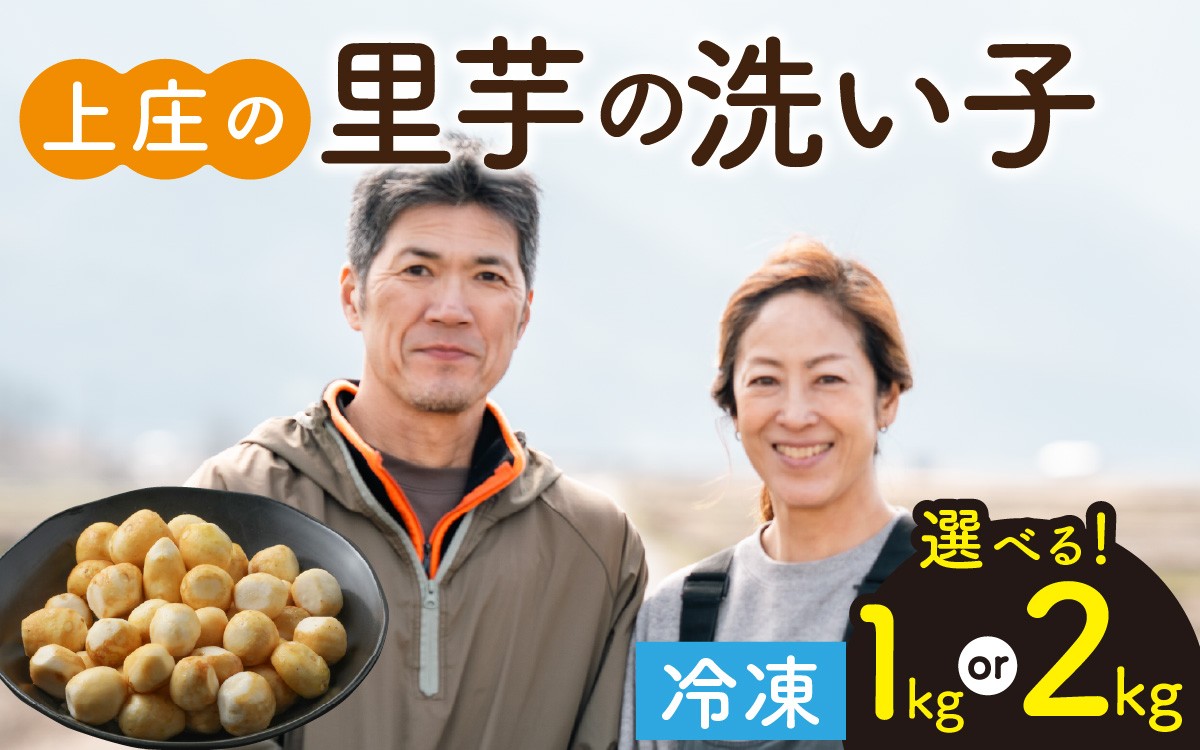 
                  【先行予約】【選べる容量】皮むきいらず、煮っ転がしに最適！上庄の里芋の洗い子 1kg 2kg【冷凍】【10月中旬より順次発送】
                