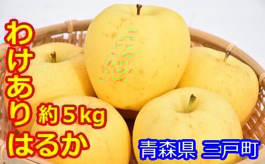 【訳あり】高級りんご【はるか】約5kg（12～20玉）【2025年産・先行予約】★2025年12月上旬～2026年1月上旬頃まで発送予定★ 青森県三戸町産