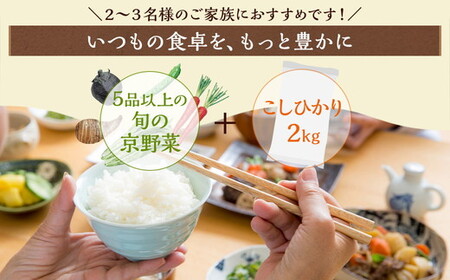 旬の野菜・米 詰め合わせセット 野菜 米 ●