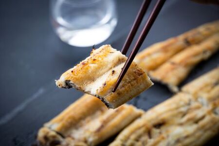高知県産うなぎの白焼特大サイズ(180～210g)×1尾【うなぎ うなぎ うなぎ 養殖うなぎ 高知県産うなぎ 丑の日】 yw-0042