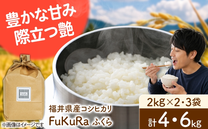 
                  【選べる容量】福井県産 こしひかり 『FukuRa』（ふっくら） 2kg×2袋 合計4.0kg｜2kg×3袋 合計6kg 米 白米 こめ 小浜市 シマダ農園 [BFAV019][BFAV020]
                