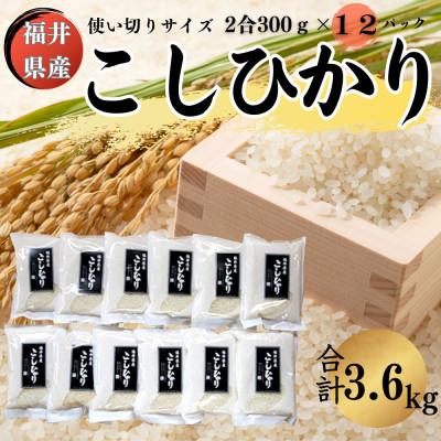 ふるさと納税 小浜市 【福井県産】精米こしひかり2合(約300g)×12パック