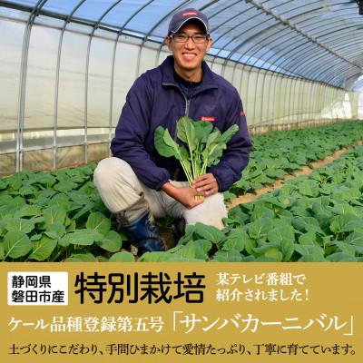 ふるさと納税 磐田市 【毎月定期便】TV紹介で大好評 ソフトケール 100g×5袋 健康 腸活応援 スムージー 全3回 |  | 03