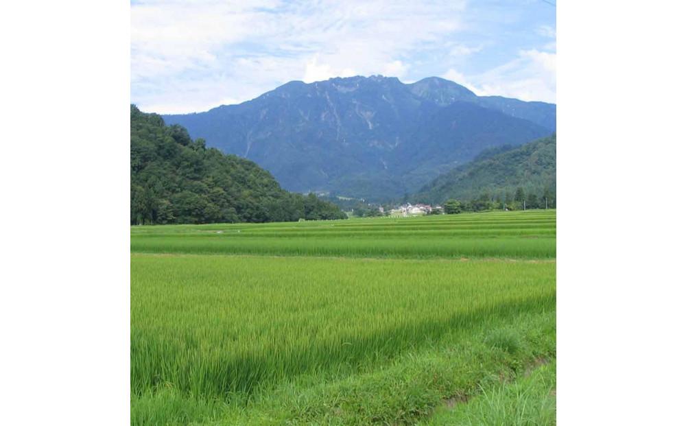 日本酒 八海山 純米大吟醸45%・純米大吟醸 しぼりたて原酒 1800ml×2本 限定品（2026年12月上旬より順次発送）