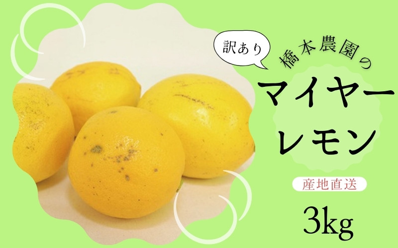 
                  【先行予約】橋本農園の 訳あり マイヤーレモン 3kg【2026年12月中旬から2027年1月中旬までに順次発送】 / レモン マイヤーレモン 檸檬 先行予約 家庭用 ご家庭用
                