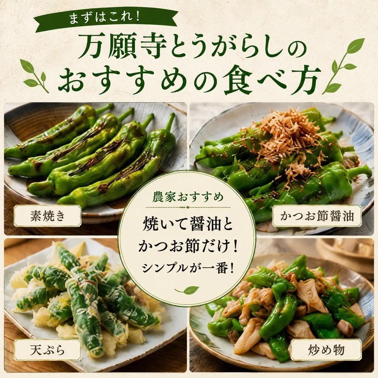 万願寺とうがらし（京野菜）1kg（目安30～40本）｜ 京野菜