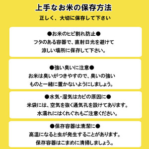 特別栽培米　出雲市産コシヒカリ　5ｋｇ