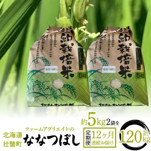 【新米】令和6年産米 ファームアグリエイトのななつぼし　約5kg×2袋を12ヶ月連続お届け SBTB009