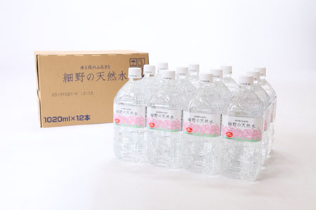 天然水 【定期便12回】細野の天然水1,020ml×12本×12回 天然水